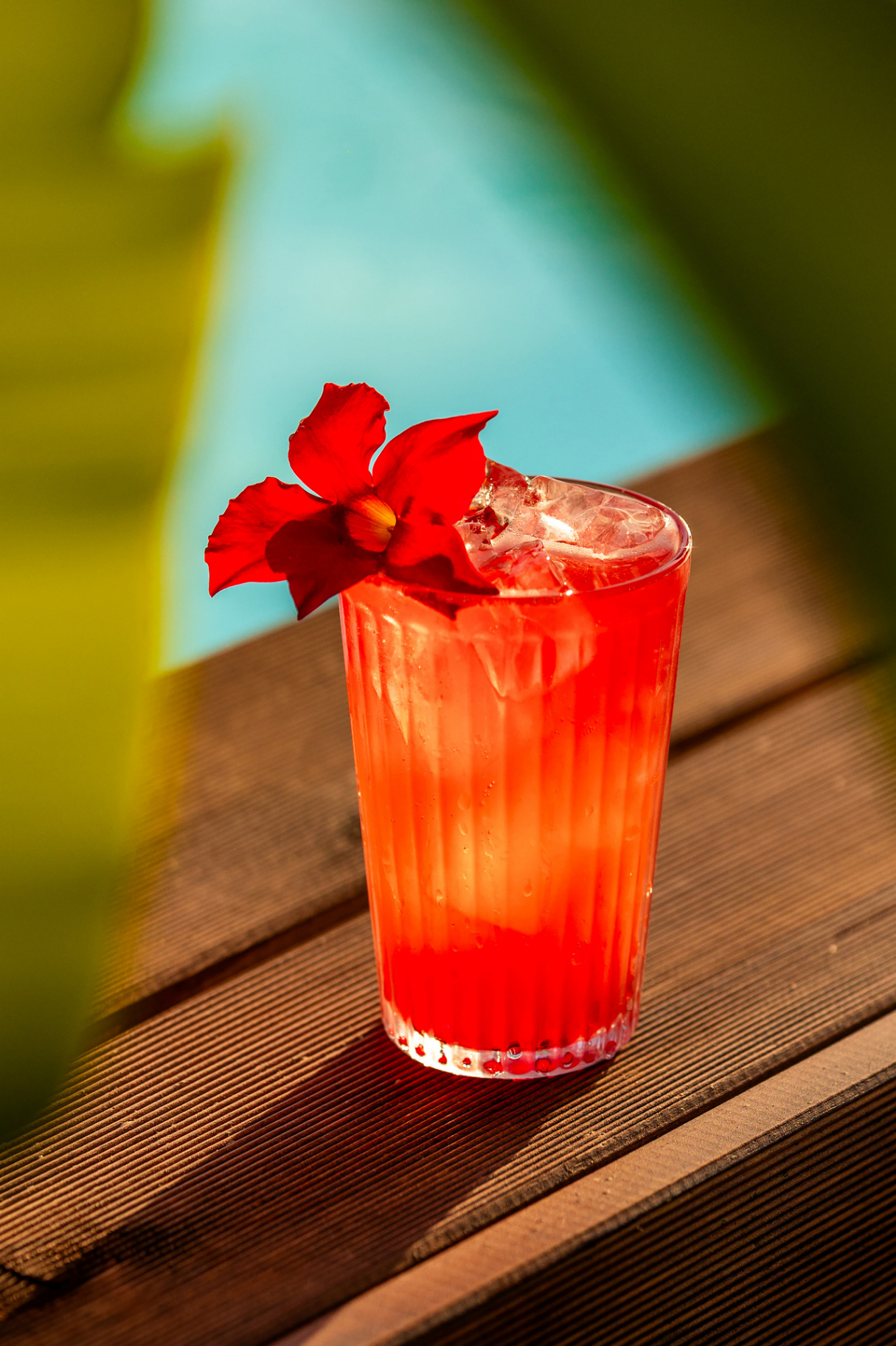 Cocktail rosso con fiore d'ibisco a bordo piscina