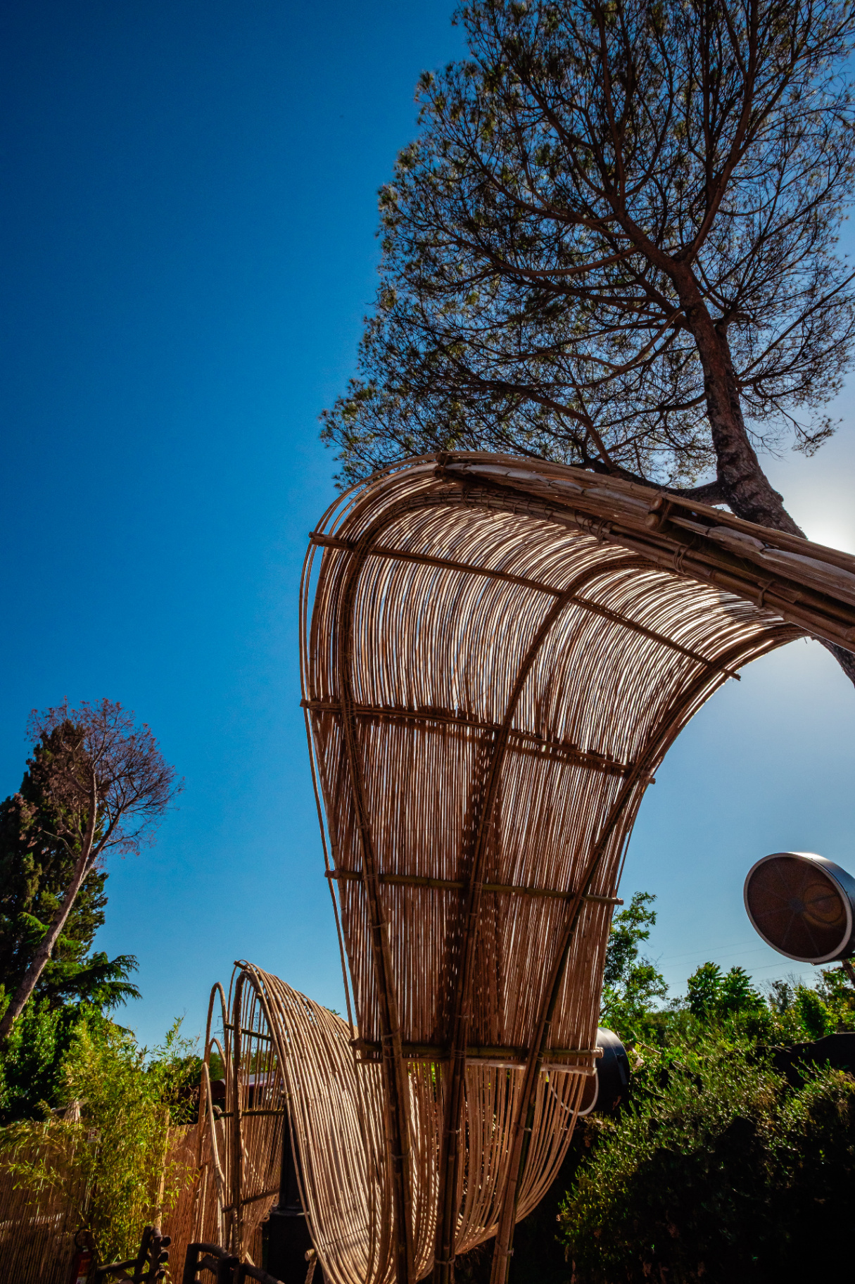 Architettura organica in bamboo tra i pini di Kalaya