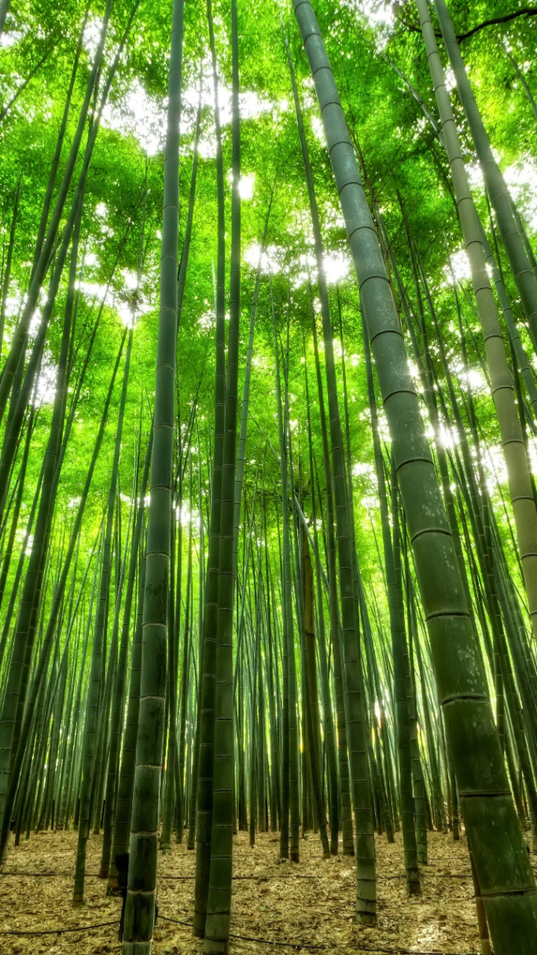 Interno bamboo con tende di lino e sabbia calda